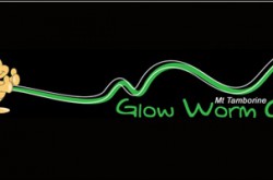 Glow Worm Caves Tamborine Mountain