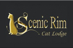 Scenic Rim Cat Lodge