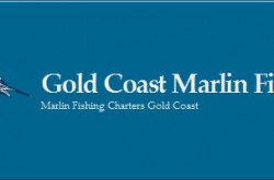 Gold Coast Marlin Fishing