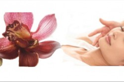 Touch of Aloha, Gold Coast Massage