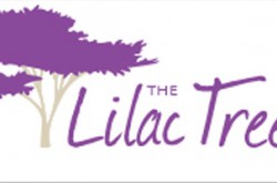 The Lilac Tree