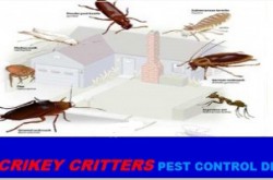 Crikey Critters Pest Control