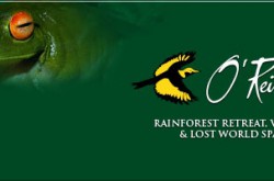 O'Reillys Rainforest Retreat