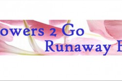 Flowers 2 Go Runaway Bay