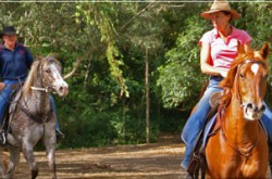 Tamborine Mountain Trail Rides at Woodstock Farm